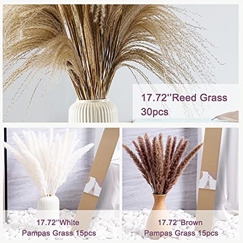 60Pcs Pampas Grass, 17.72” Dried White Pampas Grass 15 Pcs▕Brown Dried Flower 15 Pcs▕30 Pcs Natural Dried Reed, Natural Home Decor & Ideal for Flower Arrangements, Wedding Plants | The Storepaperoomates Retail Market - Fast Affordable Shopping