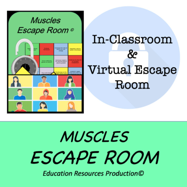 Muscles in Your Body Escape Room