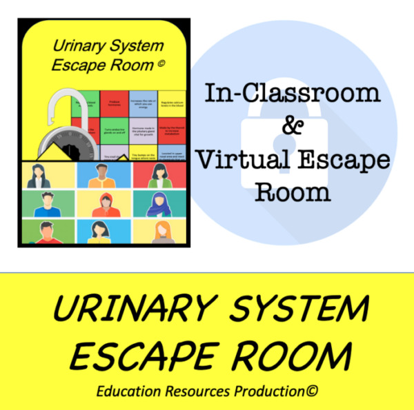 Urinary System Escape Room