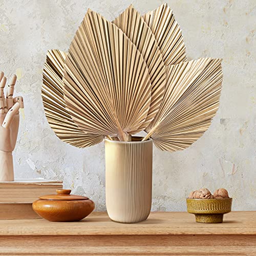 Nuanchu Natural Dried Palm Leaves Tropical Dried Palm Fans Boho Dry Leaves Decor for Home Kitchen Wedding (5)