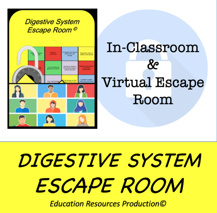 Digestive System Escape Room | The Storepaperoomates Retail Market - Fast Affordable Shopping