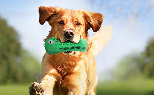 Dog Squeaky Chew Toy, Tough Natural Rubber Durable for Aggressive Chewers, Fun to Chew for Mediuem | The Storepaperoomates Retail Market - Fast Affordable Shopping