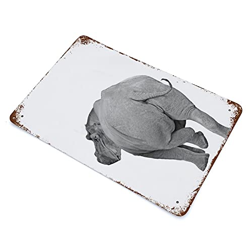 Antique Tin Sign Animal Butt Bathroom Hippo Wall Art Black & White Humor Metal Tin Sign Extra Large African Decor for Home Kitchen Bar Room Garage Decor 8×5.5 Inch | The Storepaperoomates Retail Market - Fast Affordable Shopping