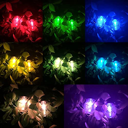 GUYULUX Smart Outdoor String Lights 48ft, Music Flash Color Change, WiFi Dimmable E26 Bulb Shatterproof, Alexa/Google Assistant Compatible, Commercial Grade String Light for Backyard Café, 1-Pack | The Storepaperoomates Retail Market - Fast Affordable Shopping
