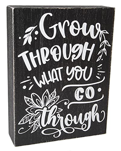 Inspirational Wall Art – Positive Office Quotes Decor – Cubicle Accessories – Cute Room Decor for Women – Desk Decor for Home Bedroom – Motivational Decorations (Grow through What you Go Through)