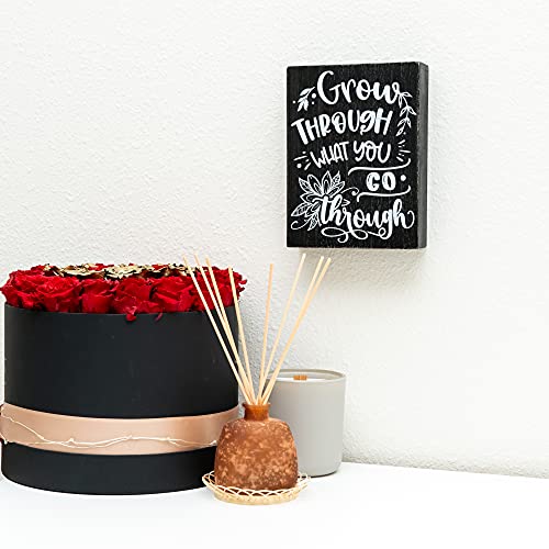 Inspirational Wall Art – Positive Office Quotes Decor – Cubicle Accessories – Cute Room Decor for Women – Desk Decor for Home Bedroom – Motivational Decorations (Grow through What you Go Through) | The Storepaperoomates Retail Market - Fast Affordable Shopping