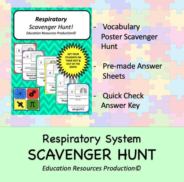 Respiratory System Scavenger Hunt Activity | The Storepaperoomates Retail Market - Fast Affordable Shopping