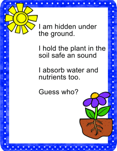 Plant Parts Riddle and Ryme with Planting a Seed and Drawing as it grows