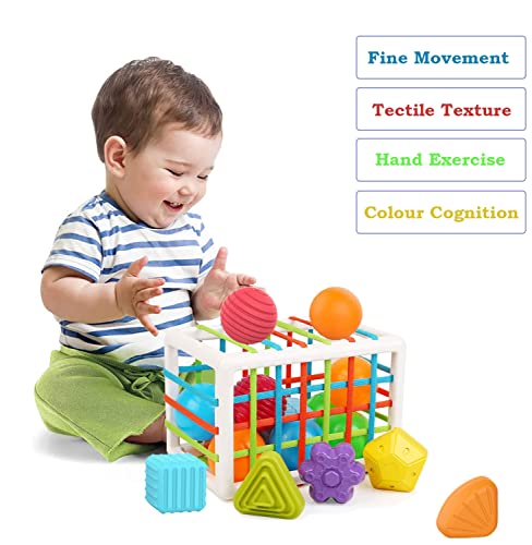 Ingooood Baby Shape Sorting Toy,Sensory Sorting Bin with Elastic Bands,Montessori Toys for 1-3 Year Old (Classic-12 Piece) | The Storepaperoomates Retail Market - Fast Affordable Shopping