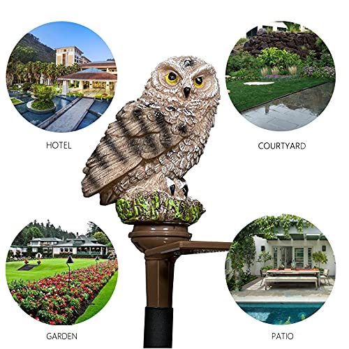 YESHAN Solar Figurine Light, 2 Pack Owl Solar Lights with Stake,Cute Owl Led Lights for Lawn Yard Patio Pathway Decor (Brown)… | The Storepaperoomates Retail Market - Fast Affordable Shopping