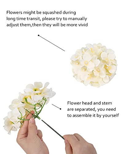 Auihiay 12 Pieces Artificial Hydrangea Flowers Silk Hydrangea Heads with Stems for Wedding Home Garden Party Decoration (Champagne) | The Storepaperoomates Retail Market - Fast Affordable Shopping