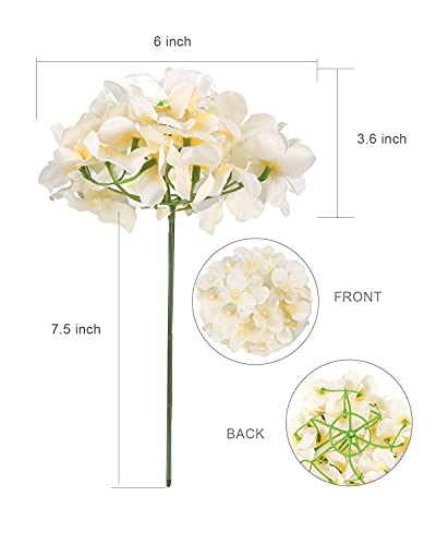 Auihiay 12 Pieces Artificial Hydrangea Flowers Silk Hydrangea Heads with Stems for Wedding Home Garden Party Decoration (Champagne) | The Storepaperoomates Retail Market - Fast Affordable Shopping
