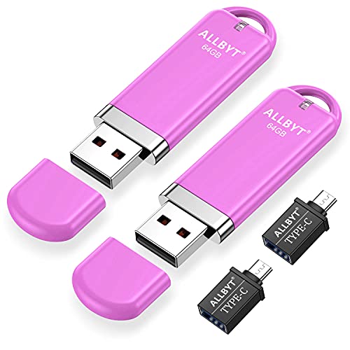 USB 2.0 Flash Drives 64GB 2 Pack, ALLBYT Thumb Drives U Disk Memory Sticks Jump Drive Photo Sticks with Led Indicator and Type-c Adapter , Save More Photos/Videos/Files/Music-Pink | The Storepaperoomates Retail Market - Fast Affordable Shopping