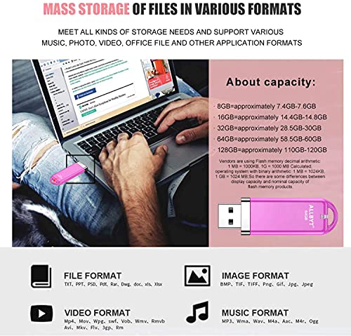 USB 2.0 Flash Drives 64GB 2 Pack, ALLBYT Thumb Drives U Disk Memory Sticks Jump Drive Photo Sticks with Led Indicator and Type-c Adapter , Save More Photos/Videos/Files/Music-Pink | The Storepaperoomates Retail Market - Fast Affordable Shopping