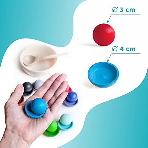 Ulanik Balls on Plates Montessori Toy Wooden Sorter Game 12 Balls 30 mm Age 1+ Color Sorting and Counting Preschool Learning Education | The Storepaperoomates Retail Market - Fast Affordable Shopping