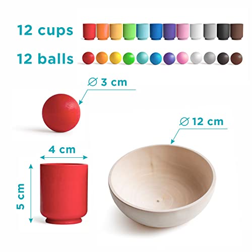 Ulanik Balls in Cups Montessori Toy Wooden Sorter Game 12 Balls 30 mm Age 1+ Color Sorting and Counting Preschool Learning Education, Multi | The Storepaperoomates Retail Market - Fast Affordable Shopping