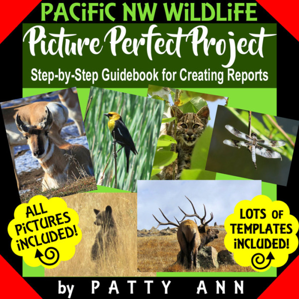 WILDLIFE Research Project: Instruction Guidebook + Design Templates with 125 Photographs to Create Plan and Produce Student Reports