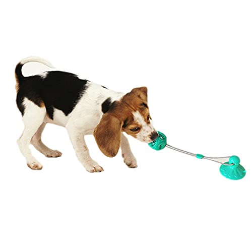 Dog Chew Toys for Aggressive Chewers, Dog Toothbrush Chew Toys Dogs Toothbrush and Toothpaste, Dog Puzzle Treat Food Dispensing Ball Toys for Medium/Small Puppies