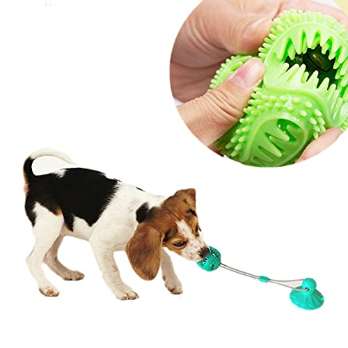 Dog Chew Toys for Aggressive Chewers, Dog Toothbrush Chew Toys Dogs Toothbrush and Toothpaste, Dog Puzzle Treat Food Dispensing Ball Toys for Medium/Small Puppies | The Storepaperoomates Retail Market - Fast Affordable Shopping