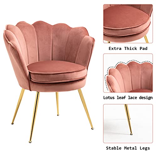 ZJhome Modern Accent Velvet Chairs Shell Shape Chairs Comfy Upholstered Vanity Chairs for Bedroom Armchair Dining Chairs with Golden Metal Legs Desk Chair Makeup Chairs for Living Room (Pink (Small)) | The Storepaperoomates Retail Market - Fast Affordable Shopping