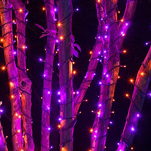 Funpeny 240 LED Halloween Christmas String Lights, 78 FT Waterproof Black Wire Fairy Lights Plug in, 8 Lighting Modes for Halloween Indoor Outdoor Garden Party Decorations (Orange and Purple) | The Storepaperoomates Retail Market - Fast Affordable Shopping