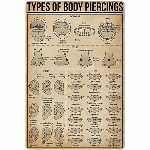 Types of Body Piercings Tin Sign Knowledge Popular Science Poster School Farm Garden Hospital Information Table Bar Garage Club Home Wall Decoration 12×16 Inch Gift