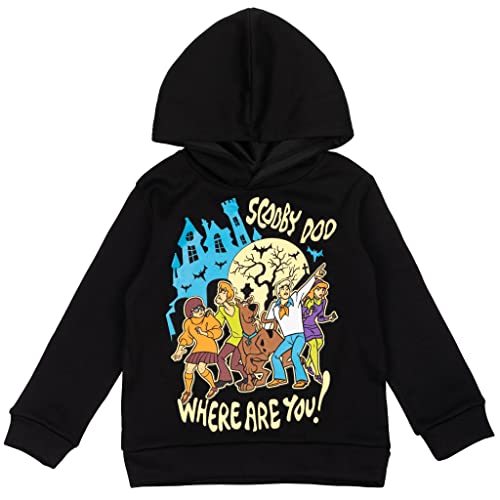 Scooby-Doo Shaggy Velma Little Boys Fleece Pullover Hoodie Black 6