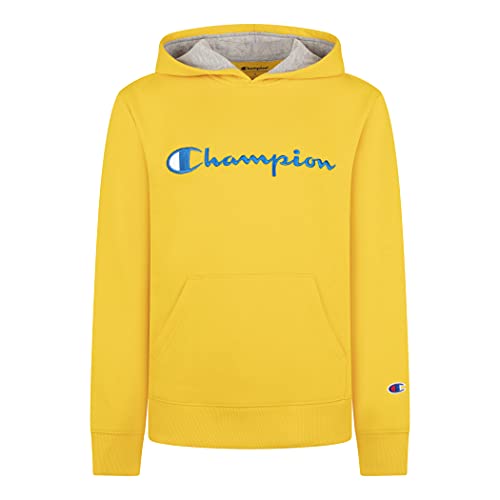 Champion Boys Two Piece Classic Core Colors Hooded Sweatshirt And Fleece Jogger Sweatpants Sets (3T, Team Gold) | The Storepaperoomates Retail Market - Fast Affordable Shopping