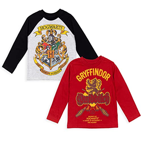 Harry Potter Gryffindor Hogwarts Big Boys 2 Pack T-Shirt Red/Grey 18-20