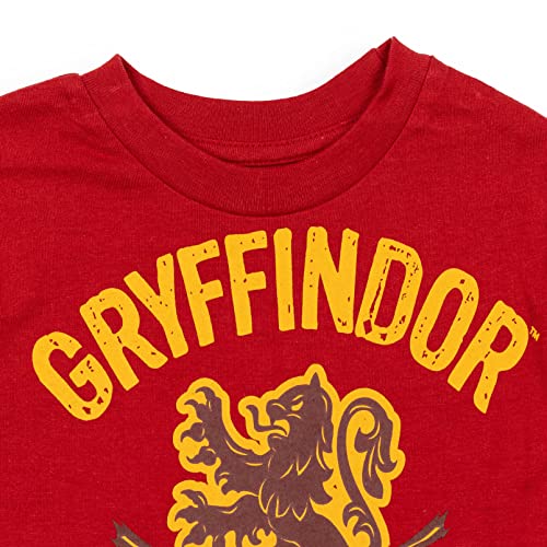 Harry Potter Gryffindor Hogwarts Big Boys 2 Pack T-Shirt Red/Grey 18-20 | The Storepaperoomates Retail Market - Fast Affordable Shopping