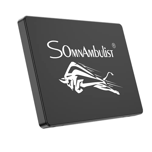 Somnambulist Desktop Notebook Computer SATA3 2.5 inch Hard Drive 120GB 240GB Hard Drive SSD Hard Drive Solid State Drive Solid State Drive (Black Cown-120GB) | The Storepaperoomates Retail Market - Fast Affordable Shopping