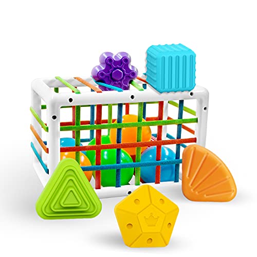 Shape Sorting Baby Toy, Shape Sorting Box for Baby Finger Motor Skills, Toddler Put Shapes Pieces In Take Shapes Out, Sensory Sorting Bin Gets Baby Brain Thinking, Preschool Toy Keeps Baby Busy(12pcs) | The Storepaperoomates Retail Market - Fast Affordable Shopping