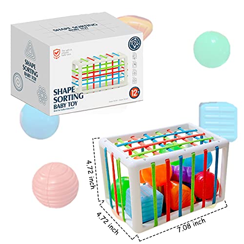 Shape Sorting Baby Toy, Shape Sorting Box for Baby Finger Motor Skills, Toddler Put Shapes Pieces In Take Shapes Out, Sensory Sorting Bin Gets Baby Brain Thinking, Preschool Toy Keeps Baby Busy(12pcs) | The Storepaperoomates Retail Market - Fast Affordable Shopping