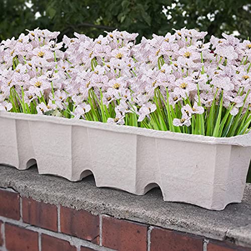 URSTOUD 6 Bundles Artificial Orchid Flowers, Fake Artificial Greenery UV Resistant No Fade Faux Plastic Flowers for Wedding Bridal Bouquet Indoor Outdoor Home Garden Kitchen Office Table Vase(White) | The Storepaperoomates Retail Market - Fast Affordable Shopping