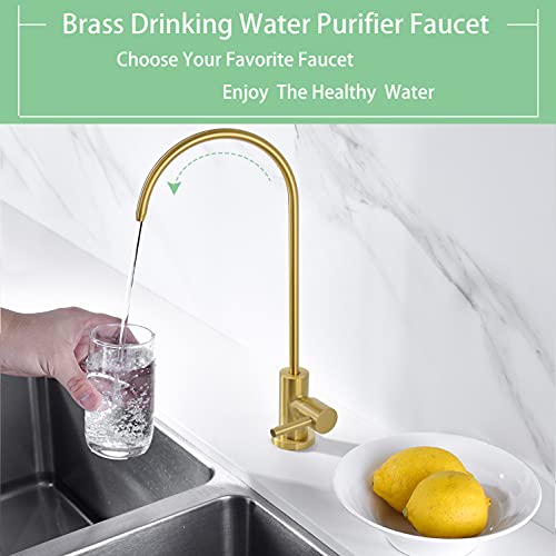 Drinking Water Faucet, Modern Brass Drinking Water Purifier Faucet, Commercial Bar Sink Drinking Water Purifier Faucet, Fit for Reverse Osmosis Water Purify System (Brushed Gold) | The Storepaperoomates Retail Market - Fast Affordable Shopping