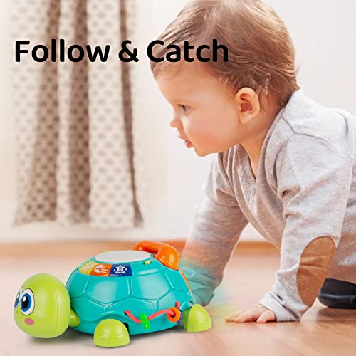 Baby Musical Turtle, Crawling Toys for Baby, Infant Tummy Time Music /Drum /Telephone Play, First Birthday Gift for Newborn Boy &Girl | The Storepaperoomates Retail Market - Fast Affordable Shopping