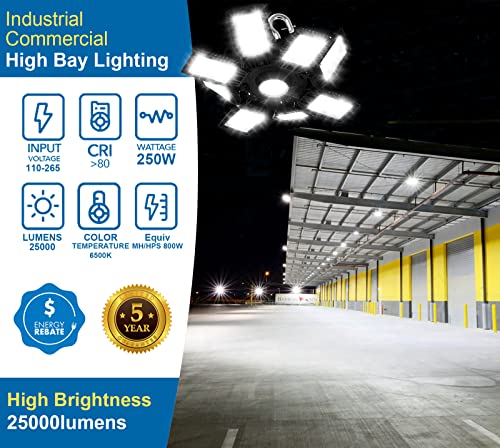 LED High Bay Light 250W 25,000lm Super Bright Industrial Commercial High Bay Light with US Plug LED Shop Lights for Garage Workshop Warehouse Factory Shop Lighting | The Storepaperoomates Retail Market - Fast Affordable Shopping