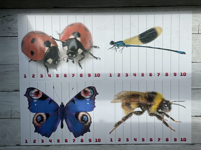 Insect Printable Number Sequence Puzzles MBM Collections | The Storepaperoomates Retail Market - Fast Affordable Shopping