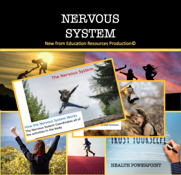 Nervous System Power Point Presentation