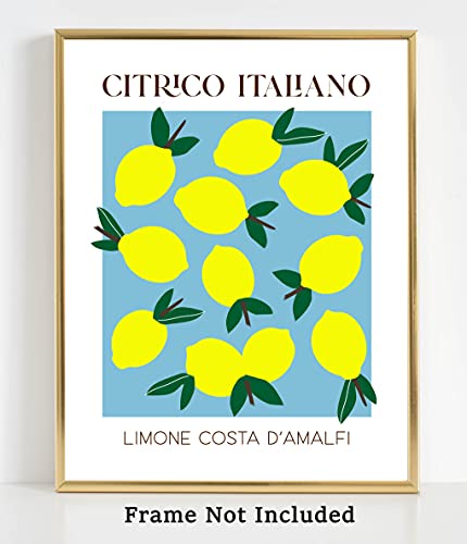 Abstract Fruit No.11 Lemons Exhibition Wall Art Print. 11×14 UNFRAMED Modern Kitchen Wall Decor. Shades of Green, Yellow & Blue on White. | The Storepaperoomates Retail Market - Fast Affordable Shopping