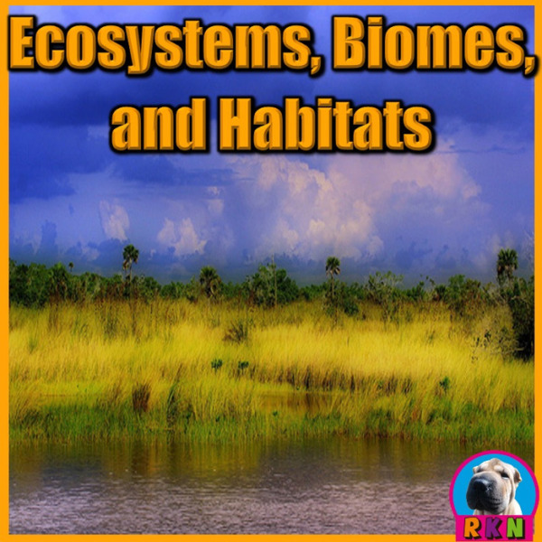 Ecosystems, Biomes, and Habitats – PowerPoint Presentation & Activities
