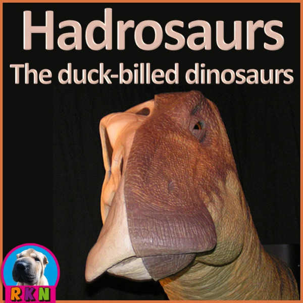 Dinosaurs Hadrosaurs “The Duck billed Dinosaurs” PowerPoint & Activities
