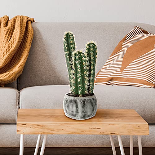 Faux Potted Cactus Plant Â– 22-inch Artificial Hedge Cacti Succulent in a Clay Fiber Pot with Realistic Spiky Accents for Home or Office by Pure Garden | The Storepaperoomates Retail Market - Fast Affordable Shopping
