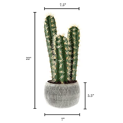 Faux Potted Cactus Plant Â– 22-inch Artificial Hedge Cacti Succulent in a Clay Fiber Pot with Realistic Spiky Accents for Home or Office by Pure Garden | The Storepaperoomates Retail Market - Fast Affordable Shopping