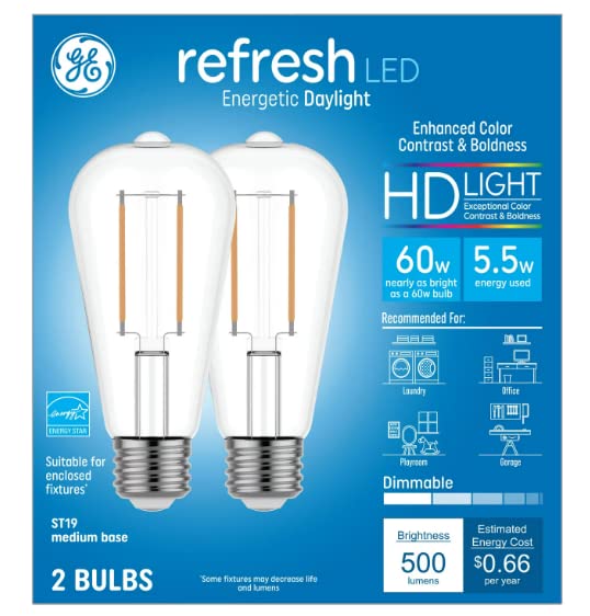 GE Refresh LED Vintage 60 watt Equivalent Daylight Dimmable Decorative Light Bulb (2 Pack)