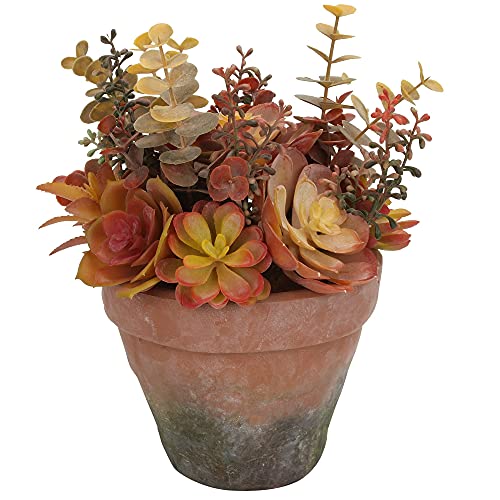 Grand Verde Orange Succulents Plants Artificial in Pot Assorted Potted Faux Greenery Real-Touch Plastic Eucalyptus Home Decor Indoor Outdoor Office Desk Shelf Decoration 10” x 8”