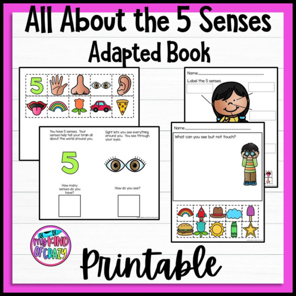 5 Senses Adapted Book and Worksheets