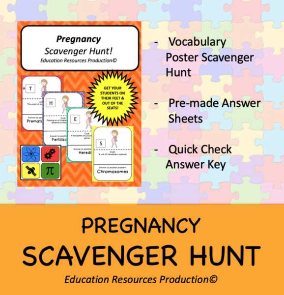 Pregnancy Scavenger Hunt Activity