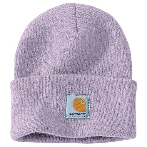 Carhartt mens Knit Cuffed Beanie Hat (Closeout), Dusk Purple, One Size US