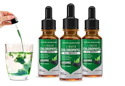 (3 Pack) Liquid Chlorophyll Drops 6000MG Maximum Strength All Natural Green Concentrate Blend Filled with Antioxidants Minerals and Vitamins 2 FL OZ